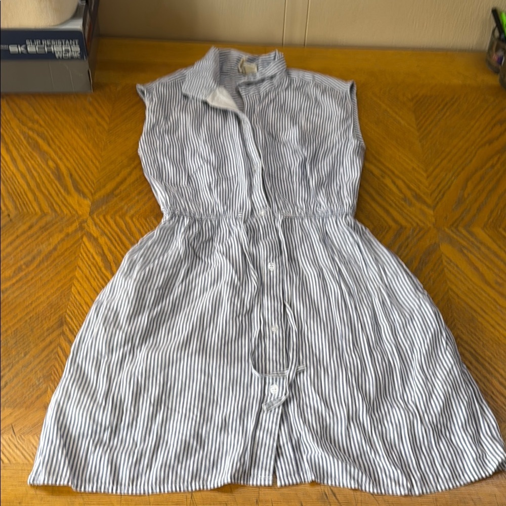 Japna Striped Sleeveless Dress